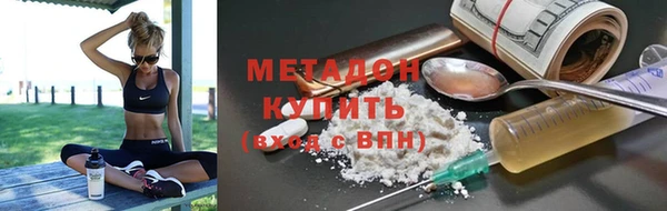 гашик Алексин