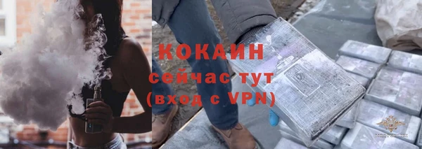 гашик Алексин