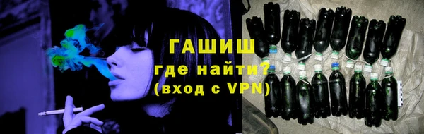 гашик Алексин