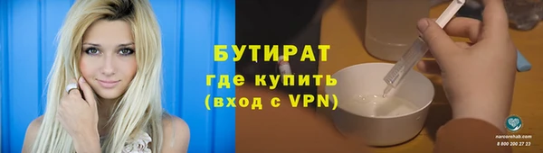 гашик Алексин
