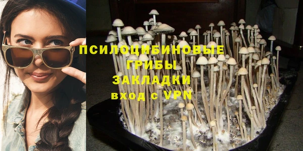 ECSTASY Алексеевка
