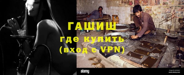 гашик Алексин
